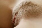 Women with hairy muffs Page 121 - Literotica Discussion Boar